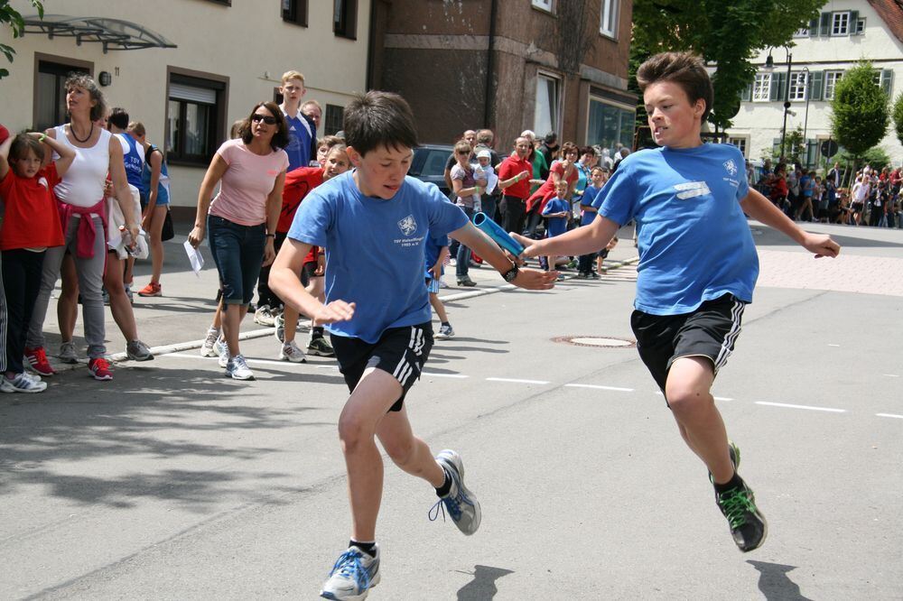 Lichtensteinlauf 2013