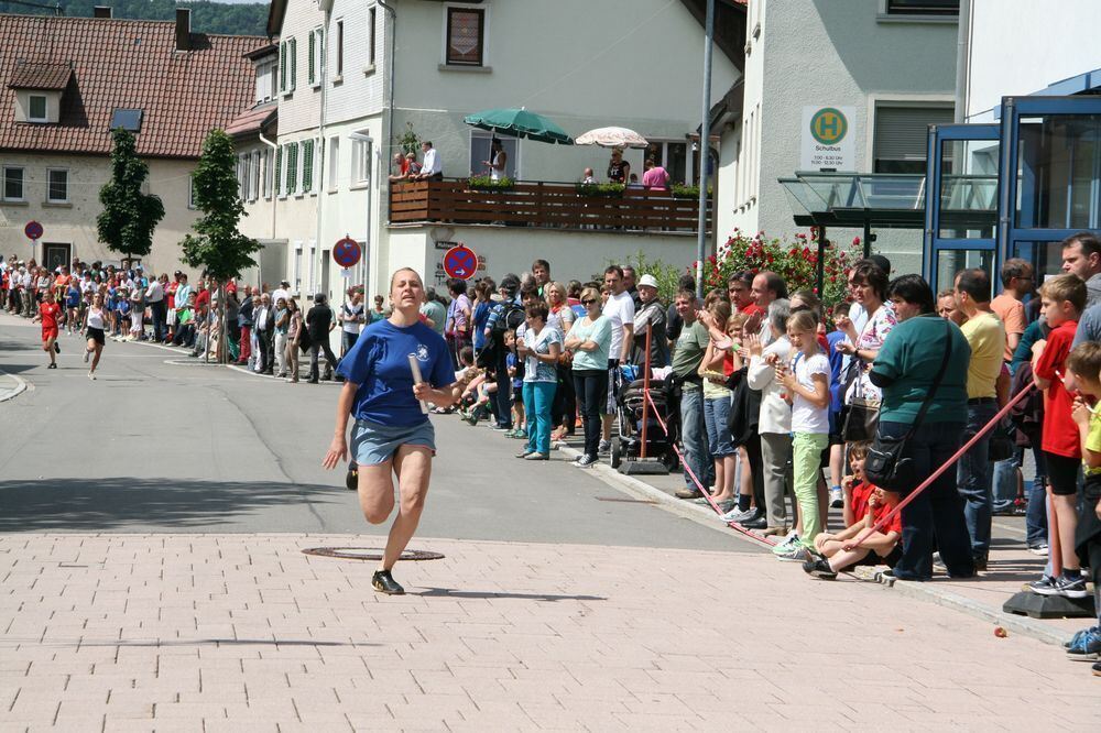 Lichtensteinlauf 2013