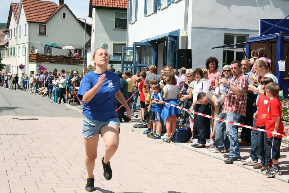 Lichtensteinlauf 2013