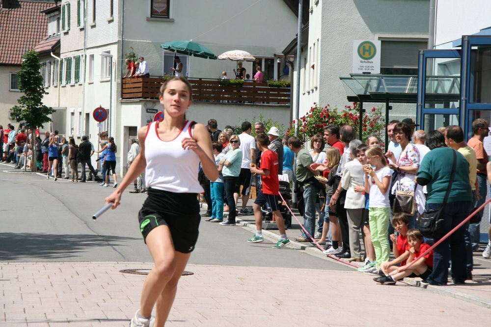 Lichtensteinlauf 2013