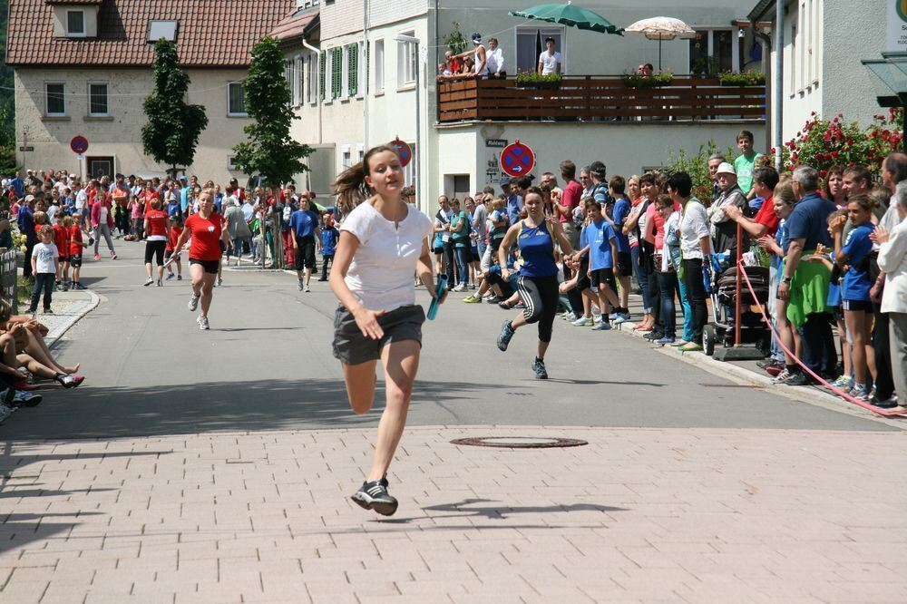 Lichtensteinlauf 2013