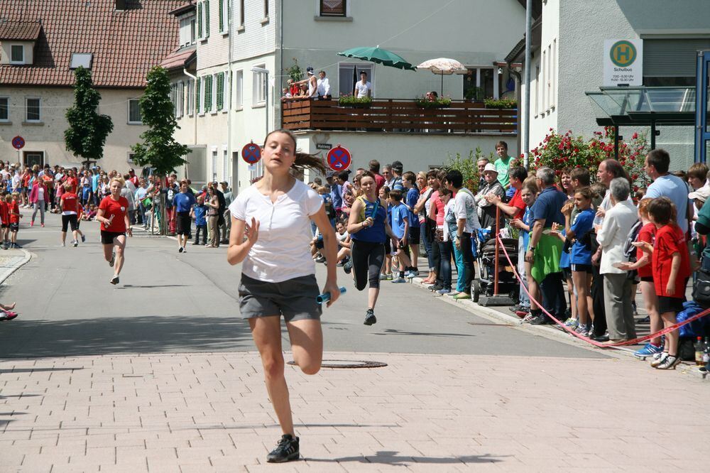 Lichtensteinlauf 2013