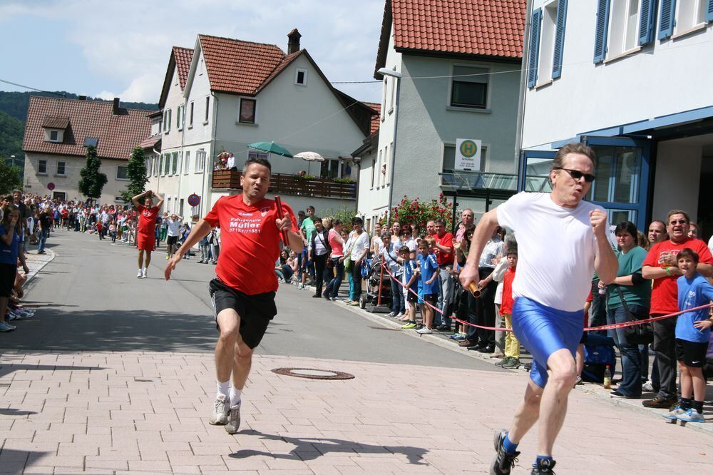 Lichtensteinlauf 2013