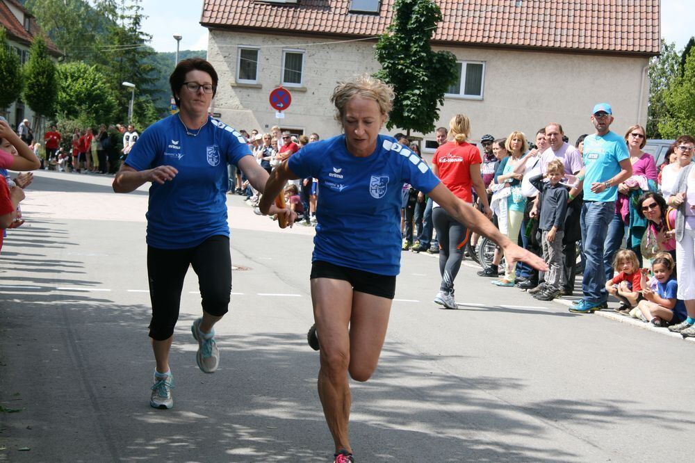 Lichtensteinlauf 2013