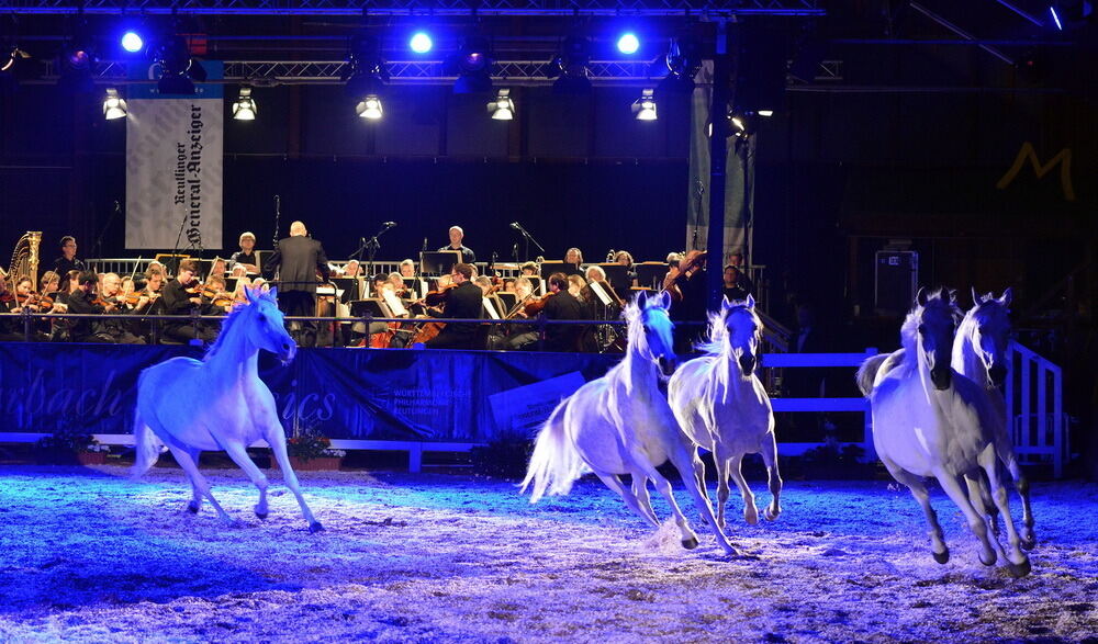 Marbach Classics 2013