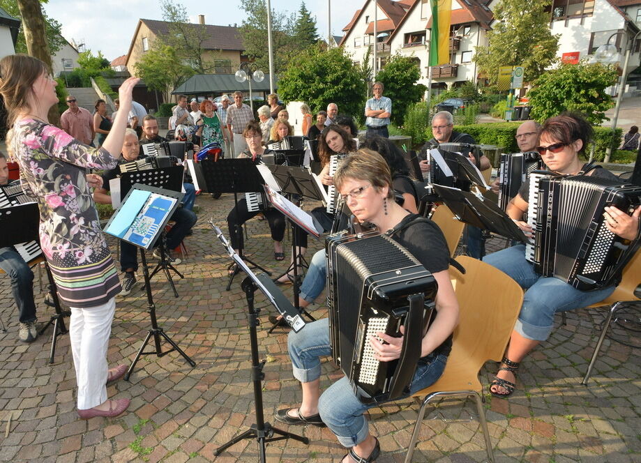 Bürgermeisterwahl Pliezhausen 2013