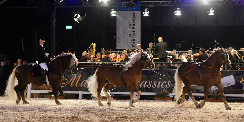 Marbach Classics 2013