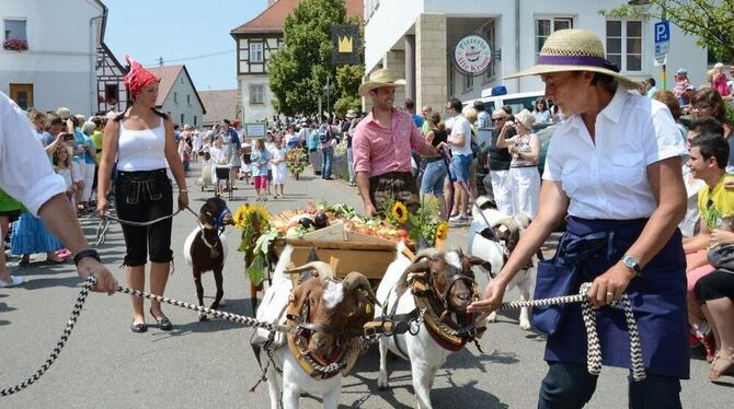 Großer Festumzug zum 650-Jahr-Jubiläum. Ganz Rübgarten bevölkerte die Dorfmitte und bestaunte das Defilee von mehr als 40 Gruppe