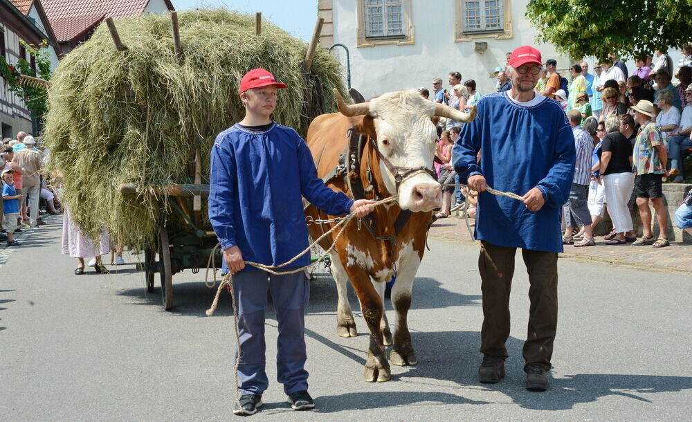 650 Jahre Rübgarten