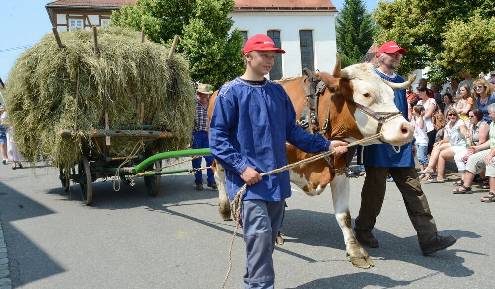 650 Jahre Rübgarten