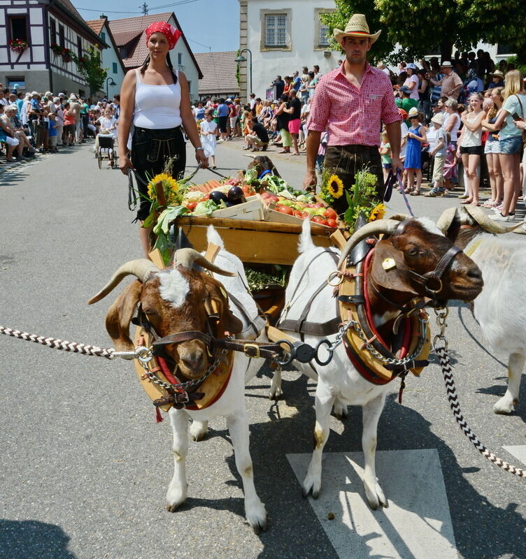 650 Jahre Rübgarten