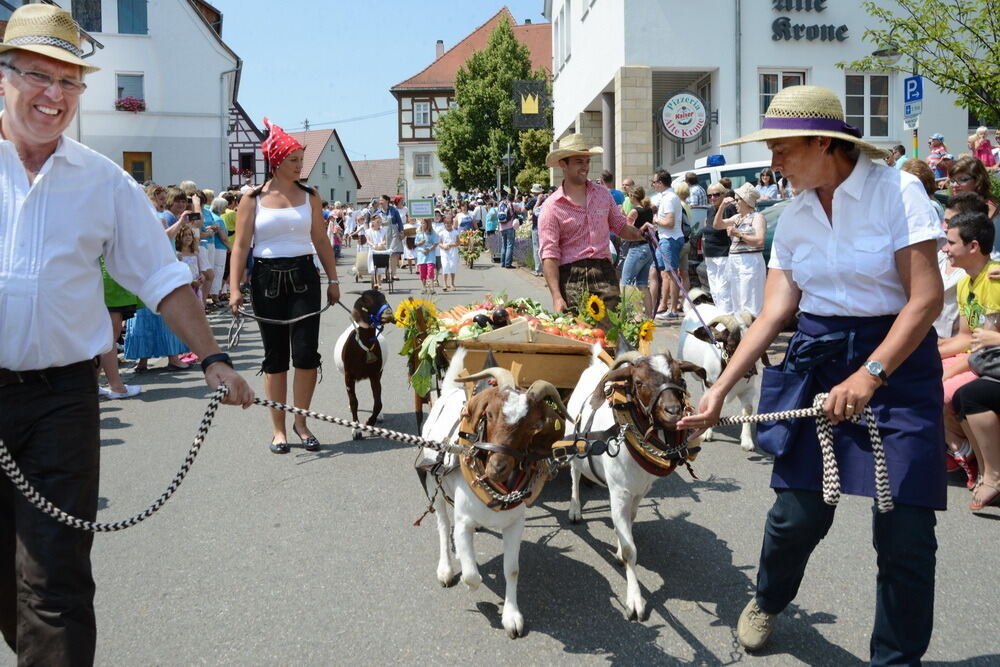 650 Jahre Rübgarten