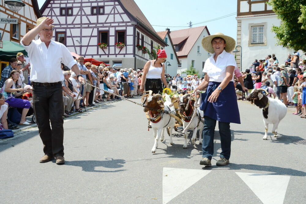 650 Jahre Rübgarten