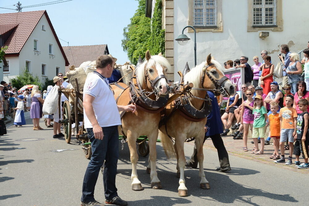 650 Jahre Rübgarten