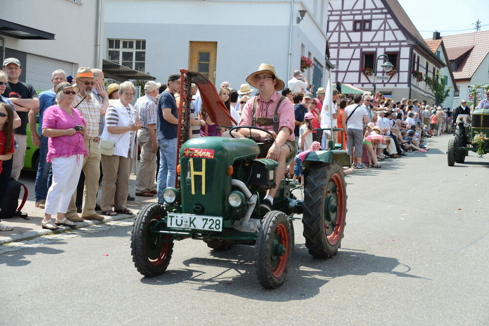 650 Jahre Rübgarten