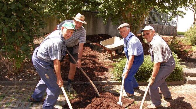 Haufenweise Rindenmulch schippen Fritz Engst, Hans Gulde, Karl Herter und Josef Geiger (von links) in die frisch ausgelichtete G