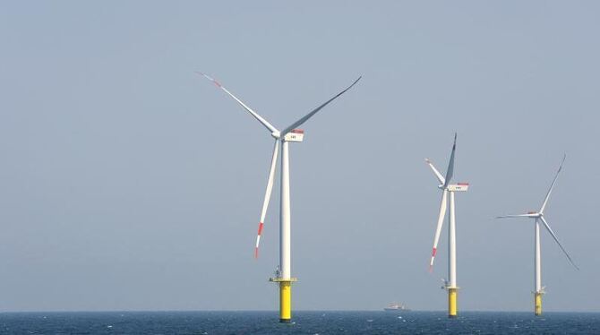 Der Offshore-Windenergiepark »Riffgat«, rund 10 Kilometer vor der ostfriesischen Insel Borkum. Foto: Ingo Wagner/Archiv