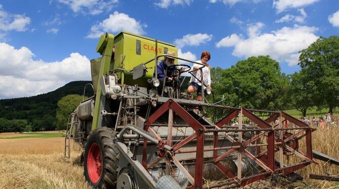 Viel Arbeit steckt in einem Laib Brot: Hier sitzt Alfred Schweikert zusammen mit seiner Enkelin Laura auf dem Mähdrescher. FOTO: HAMMER