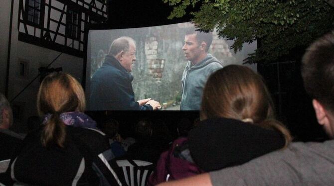 Durchschnittsbesuch zum Abschluss: »Angels’ Share« wollten im Schlosshof etwa 100 Filmfans sehen. FOTO: NORBERT LEISTER