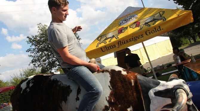 Ritt auf dem wilden Elektro-Stier gefällig?  FOTO: LEISTER