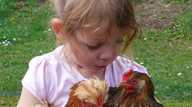 Emma mit ihrem Lieblingshuhn Lina (links, mit Häubchen) und Ronja, der Henne ihres Bruders Linus. Alle drei genießen das Knuddel