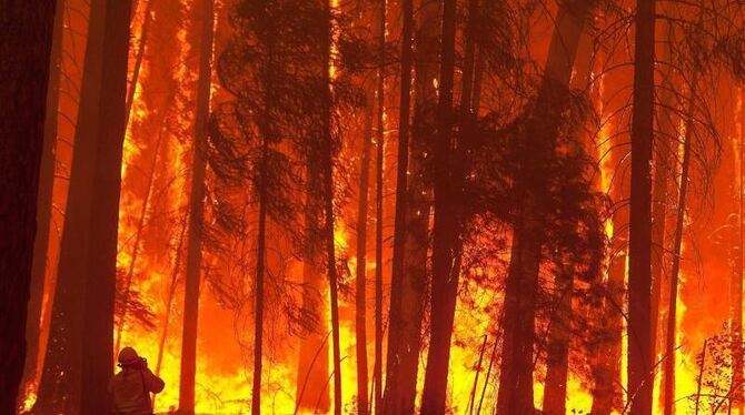 Ein Feuerwehrmann beobachtet einen ausufernden Brand in Kalifornien. Noah Berger Foto: Noah Berger