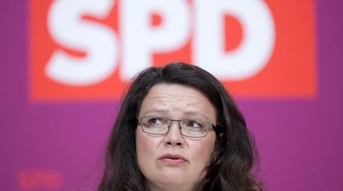 Andrea Nahles hat auf ihrer Internet-Seite versehentlich mit einem Informationsblatt der CDU um Spenden geworben. Foto: Jörg