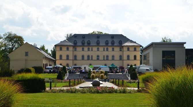 Holzskulpturen aus mehr als 30 Ländern sind im Daetz-Centrum in Lichtenstein/Sachsen zu sehen, das im Schlosspalais (Bild oben)