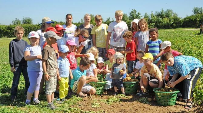 Kinder und Kartoffeln. GEA-Foto: Pacher