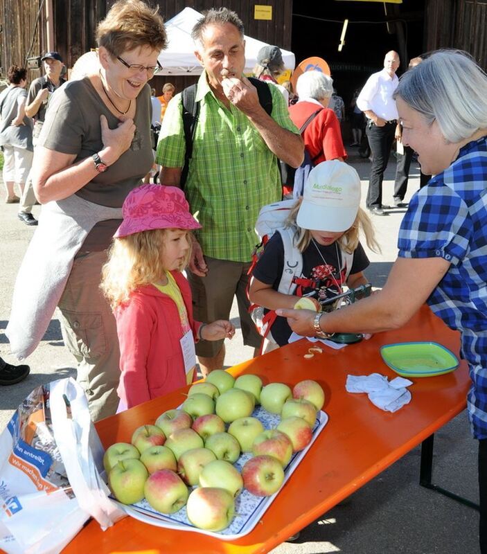 Kartoffelfest 2013