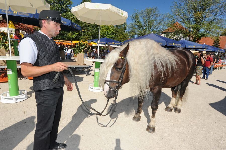 Kartoffelfest 2013