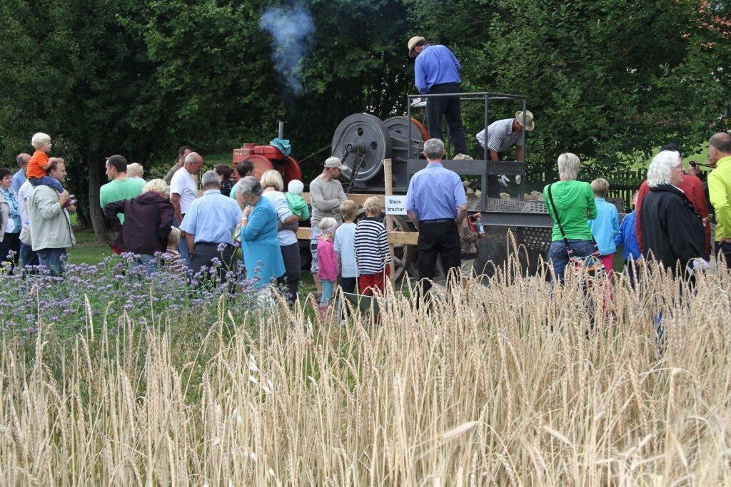 museumsfest_oedenwaldstetten_september_2013_32 (jpg)