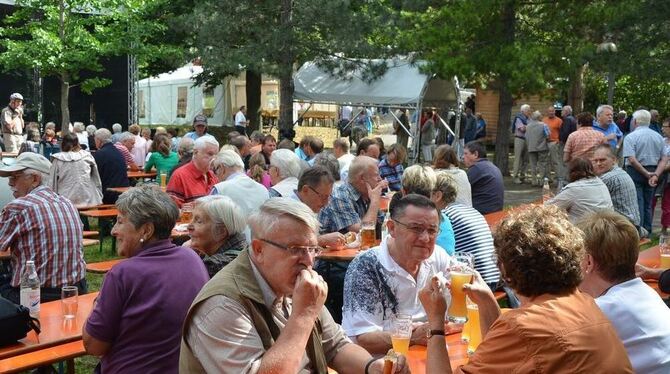 Gemütlicher Hock im Schlösslespark – den Pfullingern und anderen hat es gefallen.