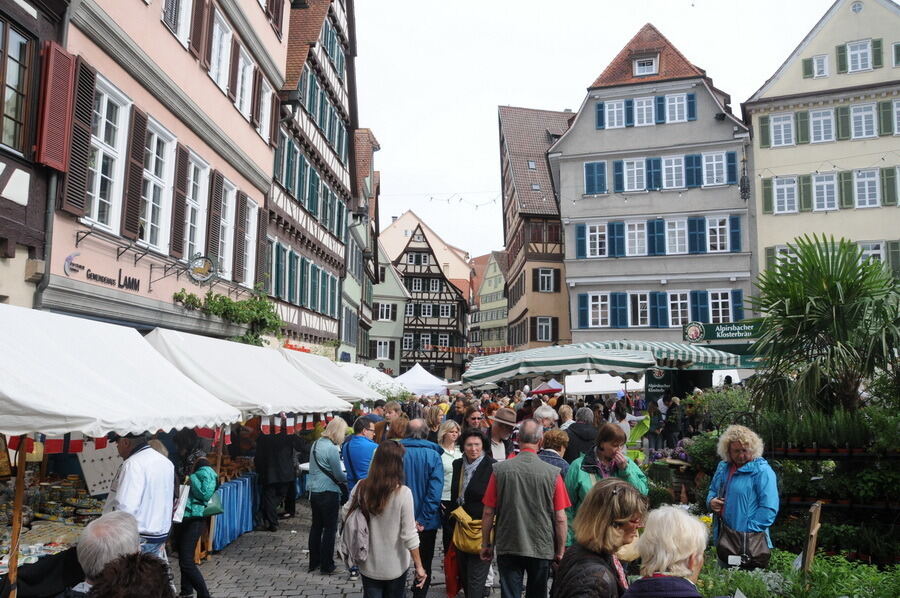 Umbrisch Provenzalischer Markt Tübingen 2013