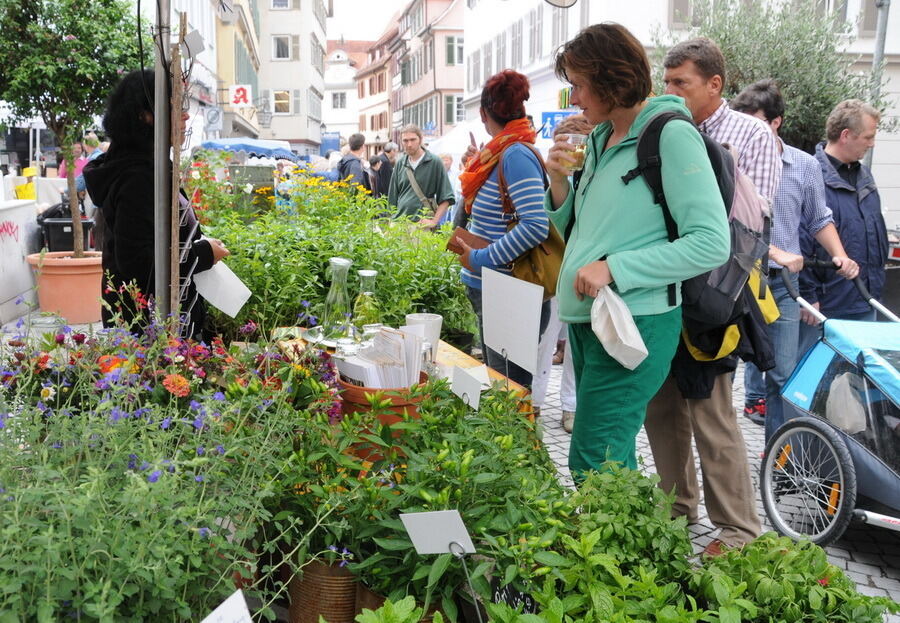 Umbrisch Provenzalischer Markt Tübingen 2013