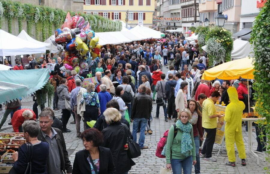 Umbrisch Provenzalischer Markt Tübingen 2013