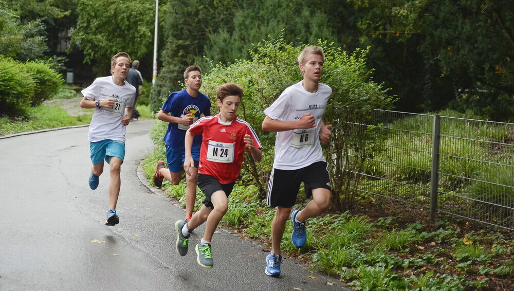 Stadtlauf Erbe-Lauf Tübingen 2013