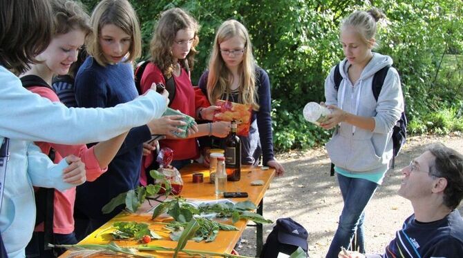 Welche Naturalien sind in Lebensmitteln, wie unterscheiden sich konventionelle und biologische Landwirtschaft? Dies wurde an ein