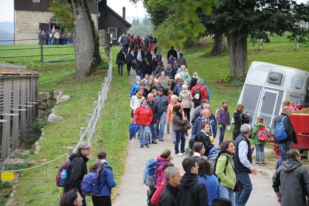 Hengstparade Marbach September 2013