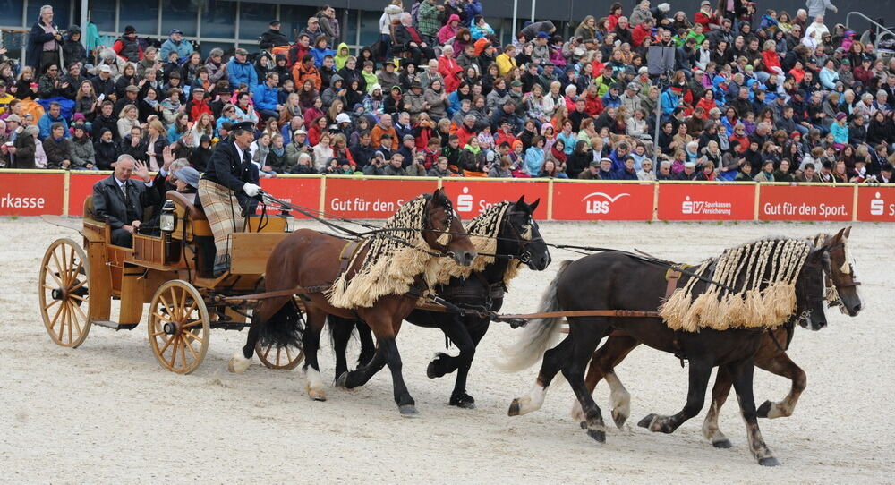 Hengstparade Marbach September 2013