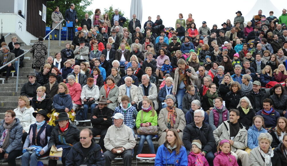 Hengstparade Marbach September 2013