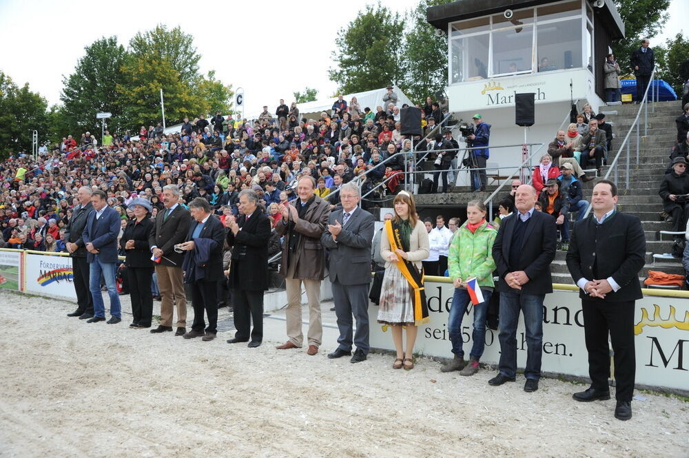 Hengstparade Marbach September 2013