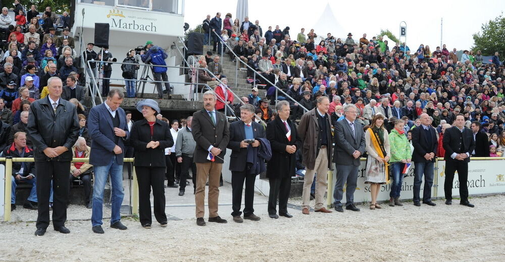 Hengstparade Marbach September 2013