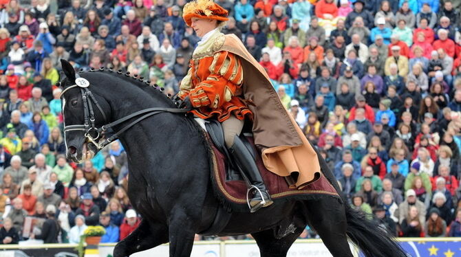 Königliches Erbe, das im freien Galopp immer wieder begeistert. Marbachs berühmte silberne Herde, die Vollblutaraberstuten gehen auf Wilhelm I. von Württemberg zurück. GEA-FOTOS: USCHI PACHERTraberwagenquadrille mit Schwarzwälder Füchsen aus Marbach, Altkladruber Rappen aus Kladruby und Kaltblutpferden aus Pisek.Marbachs Zukunft für den großen Sport. Erinnerung an die glanzvolle Vergangenheit.Klassiker unter den Schaubildern: die ungarische Post.