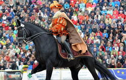 Hengstparade Marbach September 2013