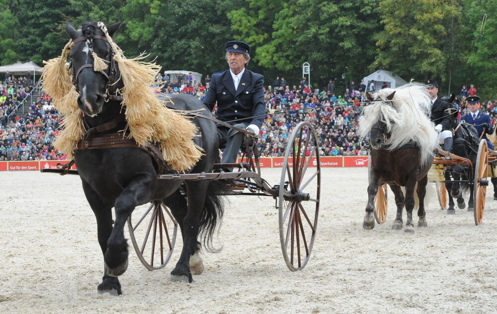 Hengstparade Marbach September 2013