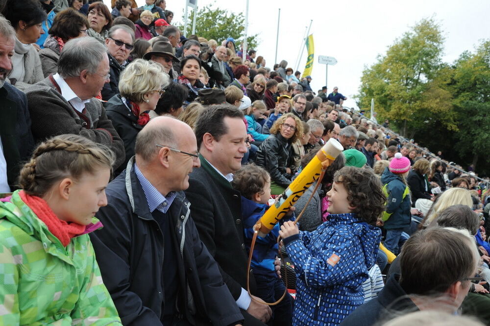 Hengstparade Marbach September 2013