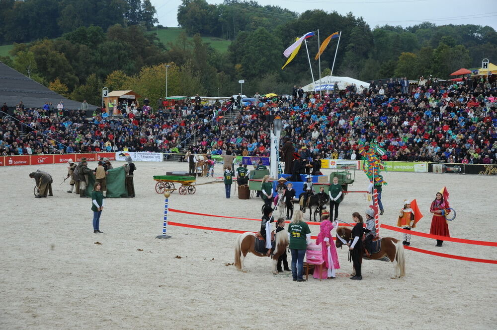 Hengstparade Marbach September 2013