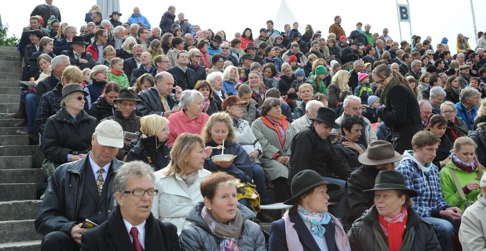 Hengstparade Marbach September 2013