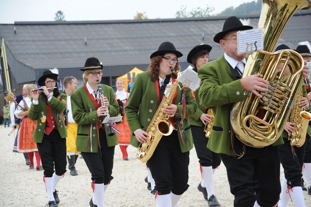 Hengstparade Marbach September 2013